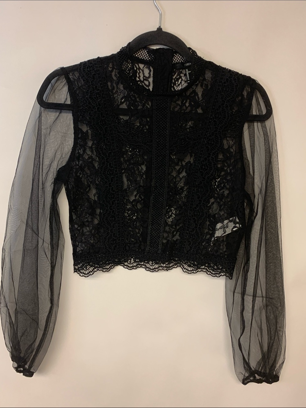 Fairy Grunge Sheer Lace Cropped Whimsigoth Edgy Rocker Mesh Dark Romantic SZ S